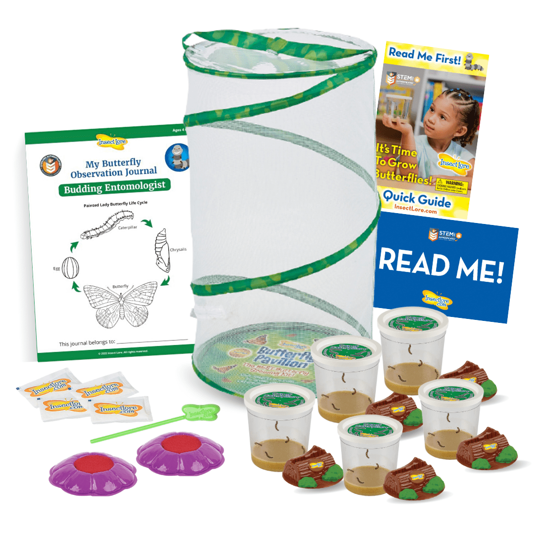 Insect Lore Easy 25 School Kit - Insect Lore - STEMfinity