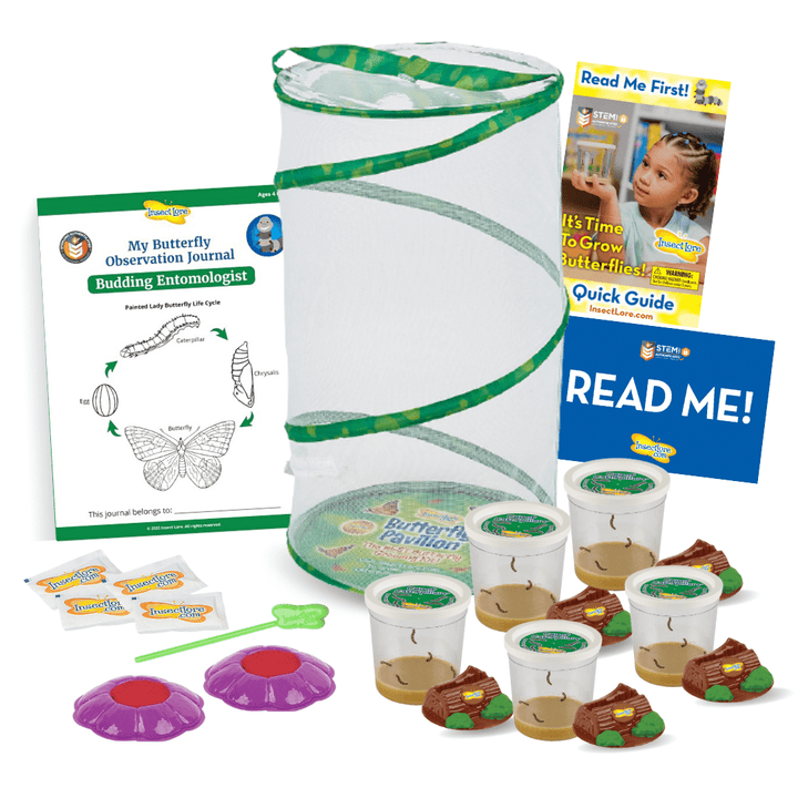 Insect Lore Easy 25 School Kit - Insect Lore - STEMfinity