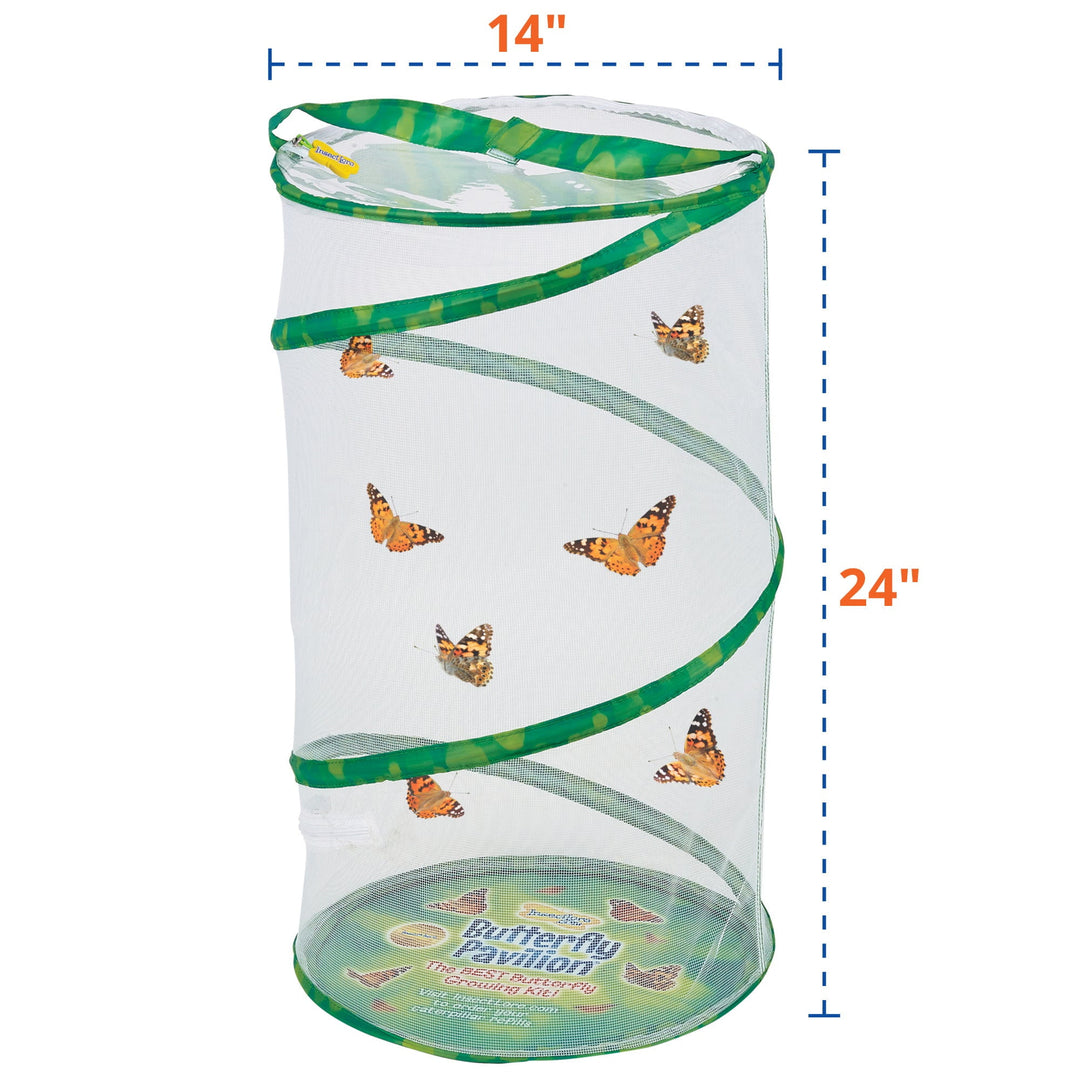 Insect Lore Butterfly Pavilion Kit with Two LIVE Cups of Caterpillars - Insect Lore - STEMfinity