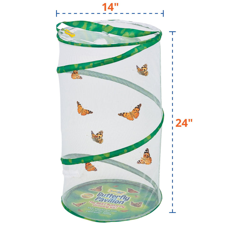Insect Lore Butterfly Pavilion Kit with Two LIVE Cups of Caterpillars - Insect Lore - STEMfinity