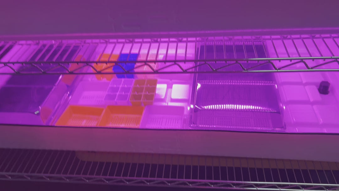 School Hydroponics Grow Rack - Full Rack