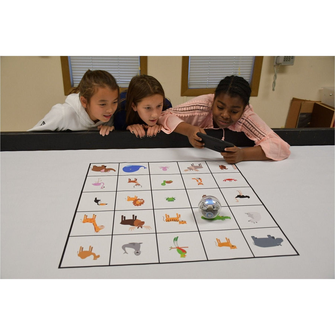 Geyer Code And Go 5 inch-Animals - STEMfinity