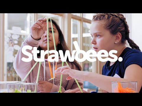 Strawbees Pocketful of Ideas - CLOSEOUT
