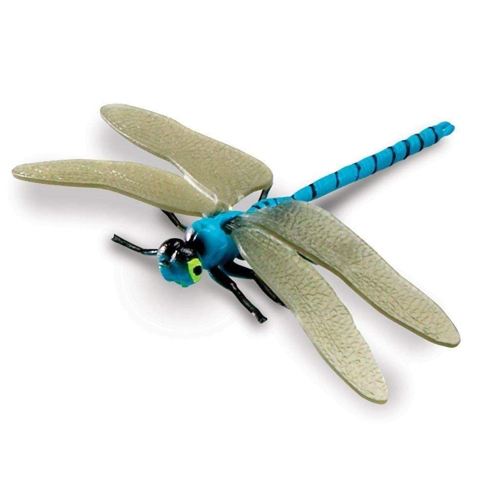 Jumbo Insects - STEMfinity