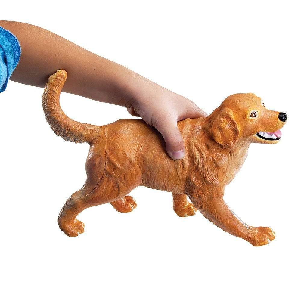 Jumbo Pets - STEMfinity