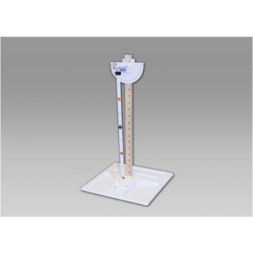 Lab-Aids: Energy Transfer - Motion of a Pendulum Expand-A-Kit - STEMfinity