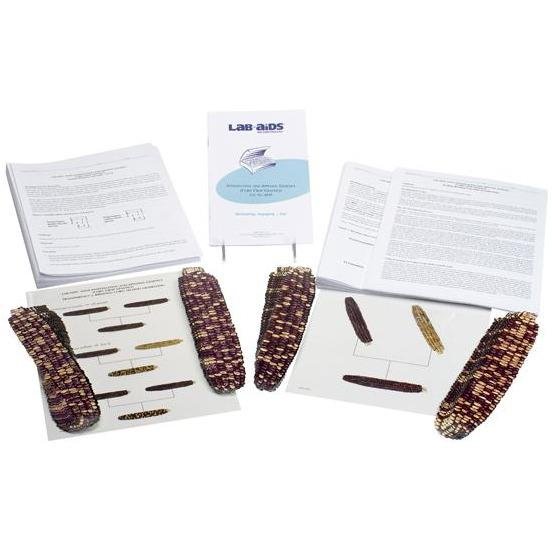 Lab-Aids: Investigating and Applying Genetics - Corn Kit - STEMfinity
