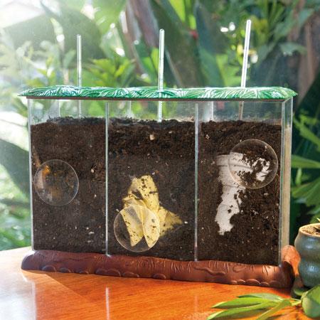 Now You See It, Now You Don't See-Through Compost Container - STEMfinity