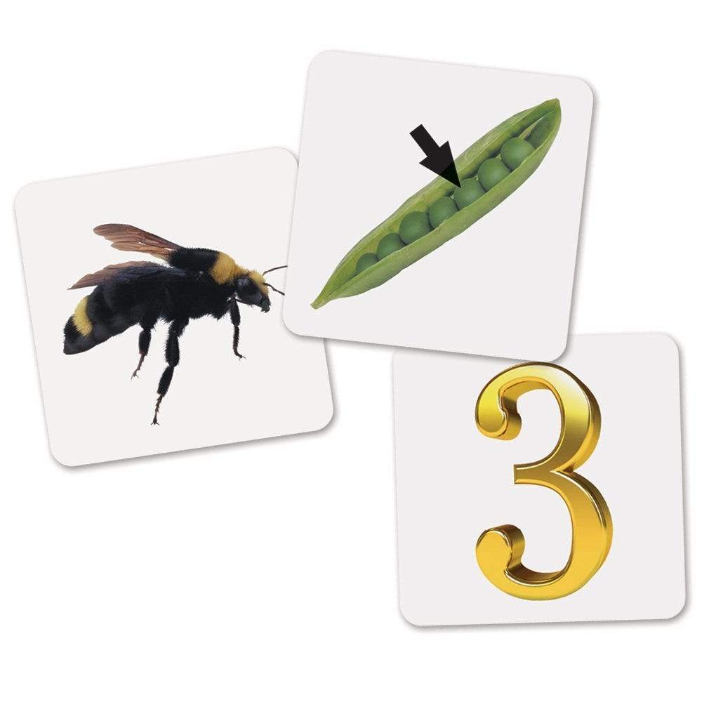 Rhyme & Sort Rockets™ - STEMfinity