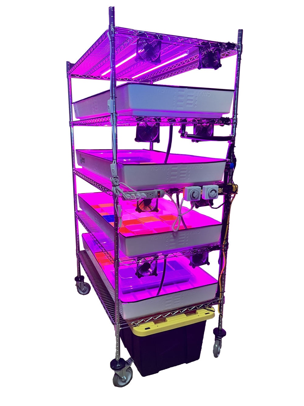 School Hydroponics Grow Rack - Full Rack - Farming The Future - STEMfinity