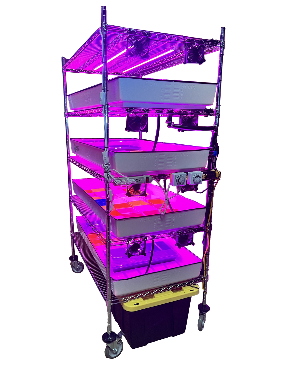 School Hydroponics Grow Rack - Full Rack - Farming The Future - STEMfinity