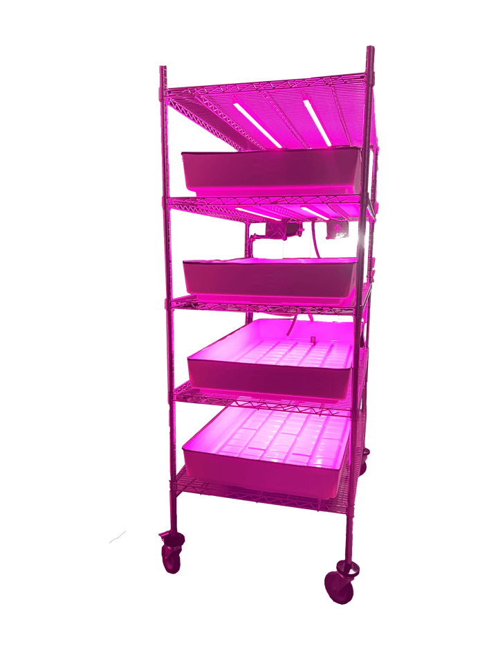 School Hydroponics Grow Rack - Full Rack - Farming The Future - STEMfinity