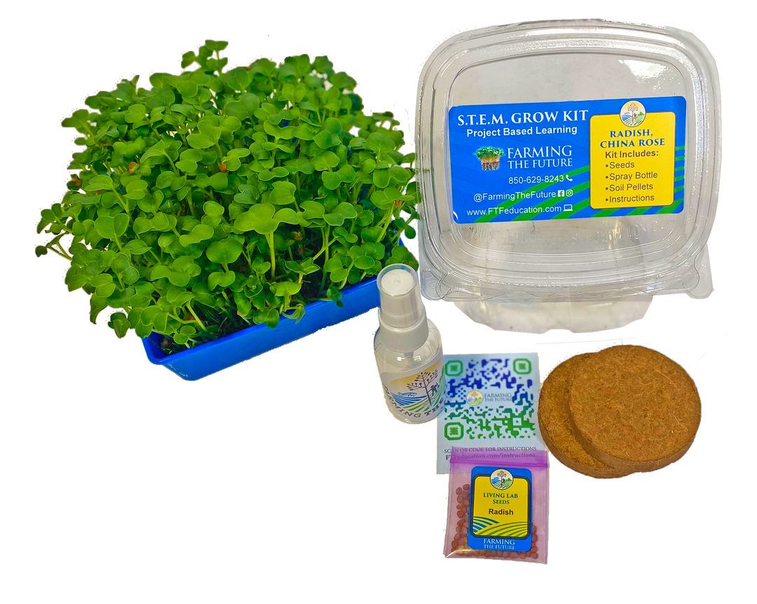 Single Use STEM Student Microgreen Kit - Classroom Bundle - Farming The Future - STEMfinity