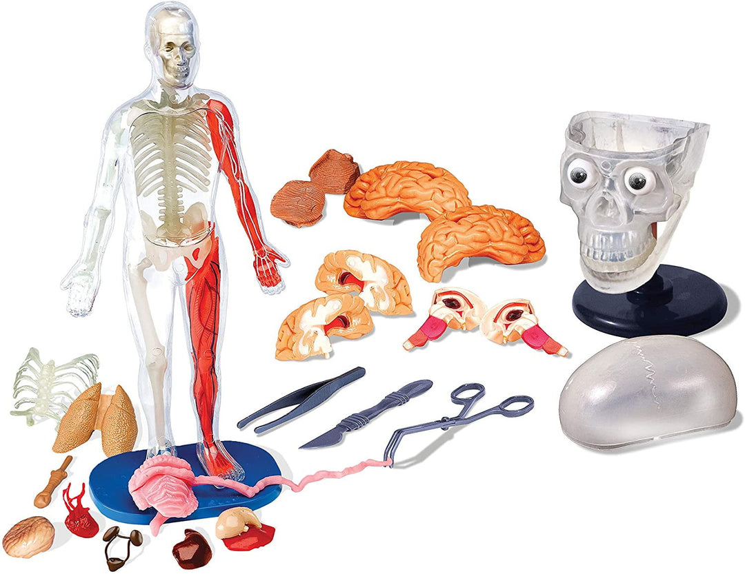 Totally Squishy from Head-To-Toe - Smart Lab Toys - STEMfinity