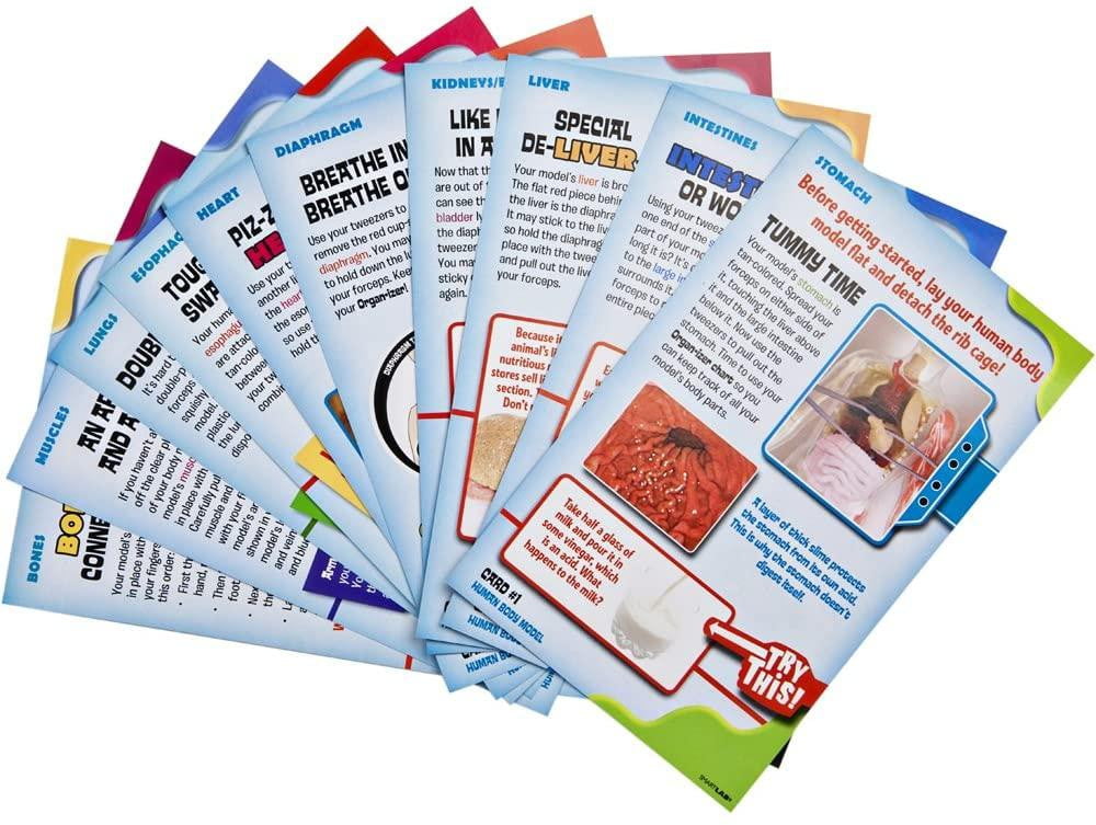 Totally Squishy from Head-To-Toe - Smart Lab Toys - STEMfinity