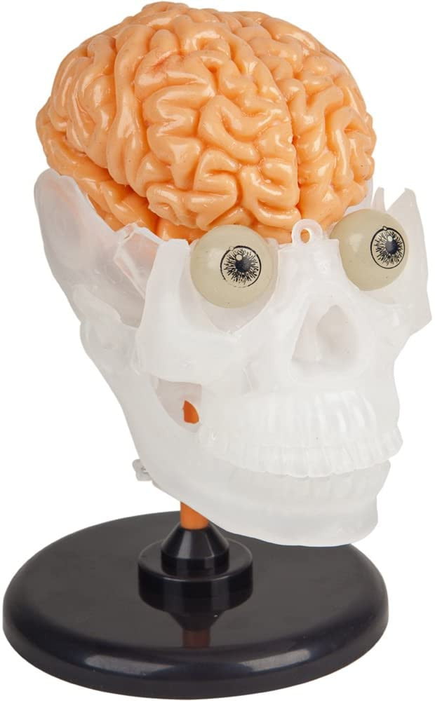 Totally Squishy from Head-To-Toe - Smart Lab Toys - STEMfinity