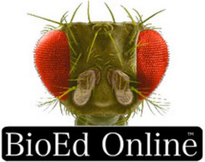BioEd Online - Science Teacher Resources
