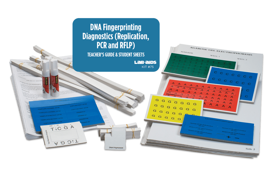 Lab-Aids: DNA Fingerprinting Diagnostics (Replication, PCR and RFLP) Kit