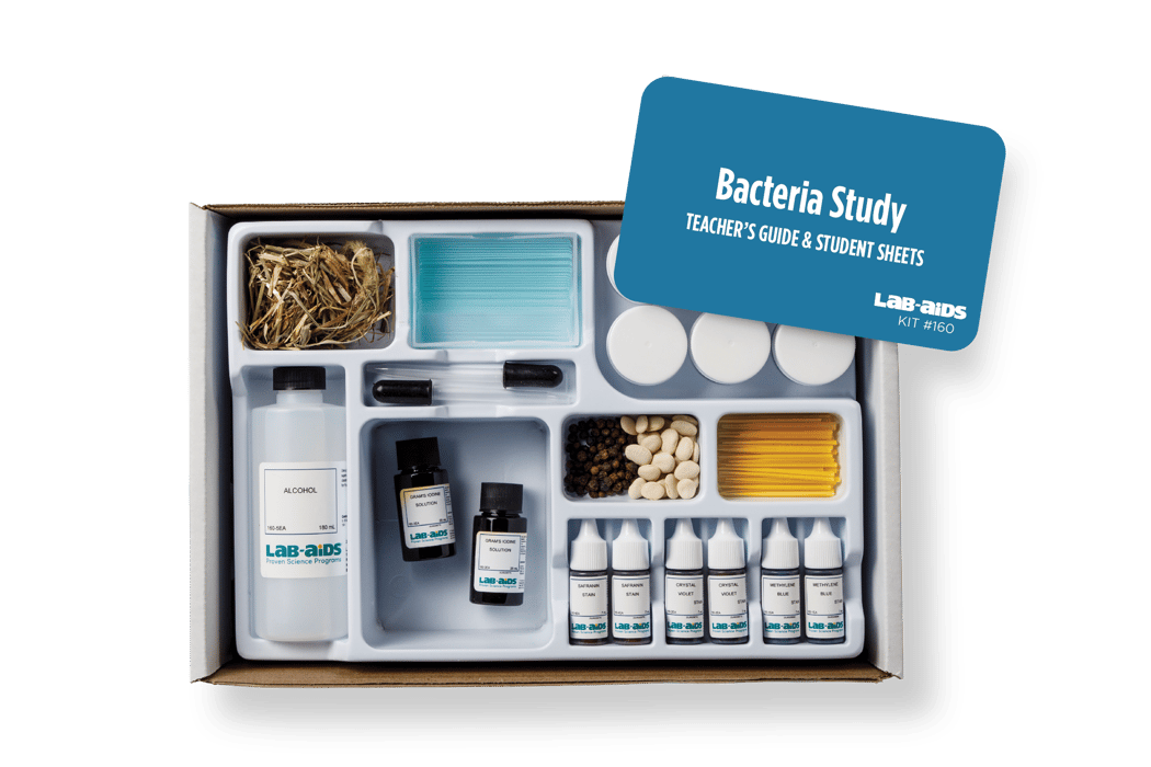 Lab-Aids: Bacteria Study Kit