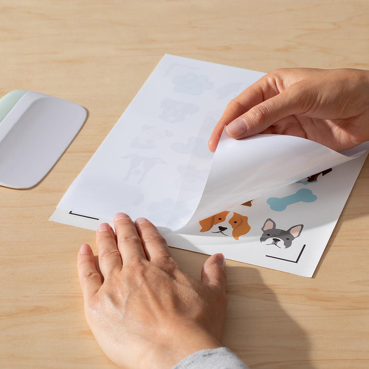 Cricut Educator Sticker Making Bundle