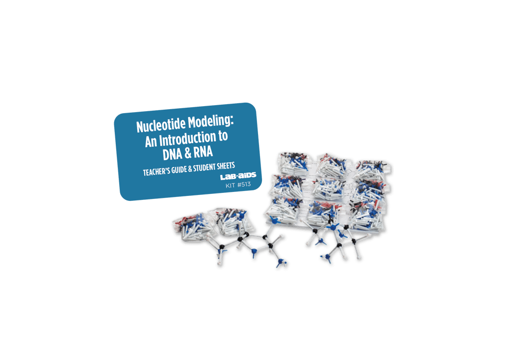 Lab-Aids: Nucleic Acid Molecular Structure (Introduction to RNA and DNA) Kit