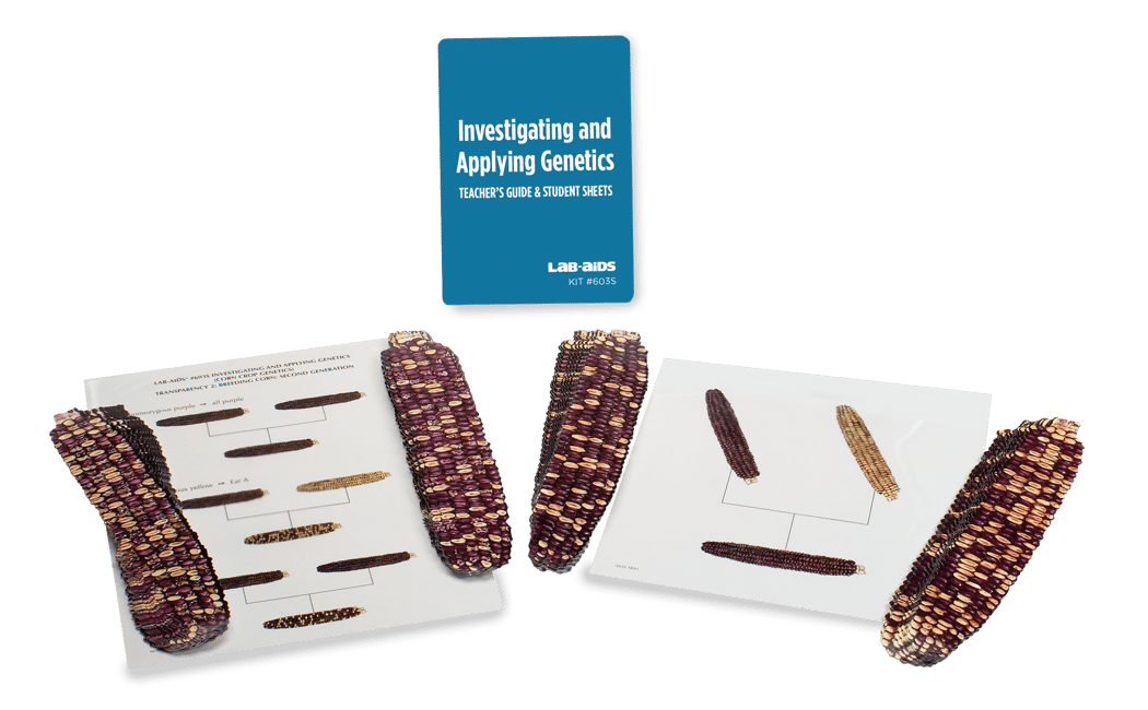 Lab-Aids: Investigating and Applying Genetics - Corn Kit