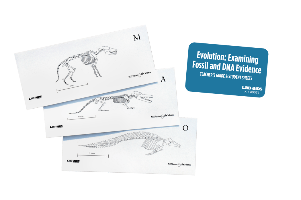 Lab-Aids: Evolution - Examining Fossil and DNA Evidence Kit