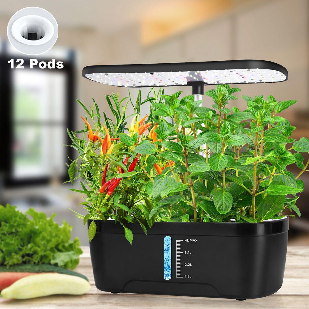 Science Pathways Elementary: Life Science - Plant Growing Kit