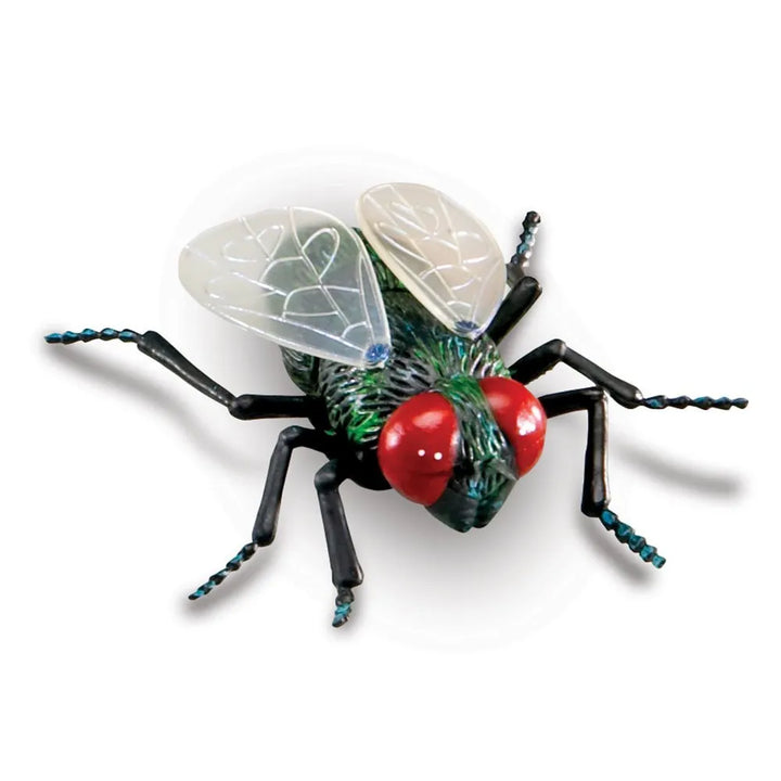 Jumbo Insects
