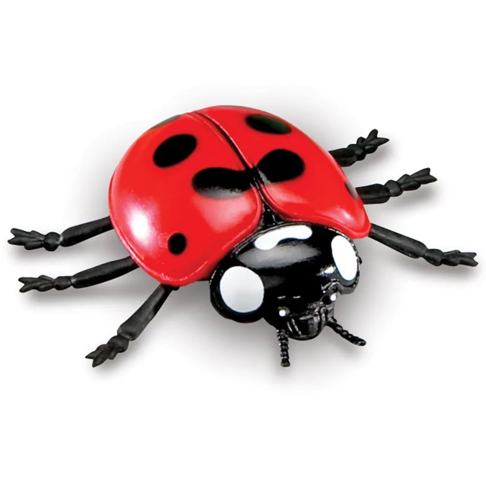 Jumbo Insects