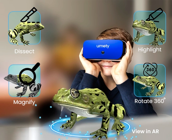 Umety Premium License