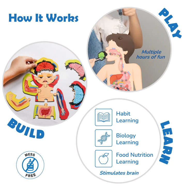 Food Body & Nutrition | DIY Activity Kit