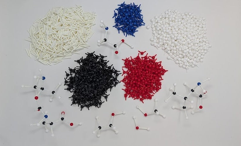 Lab-Aids: Molecules of Life Modeling Kit