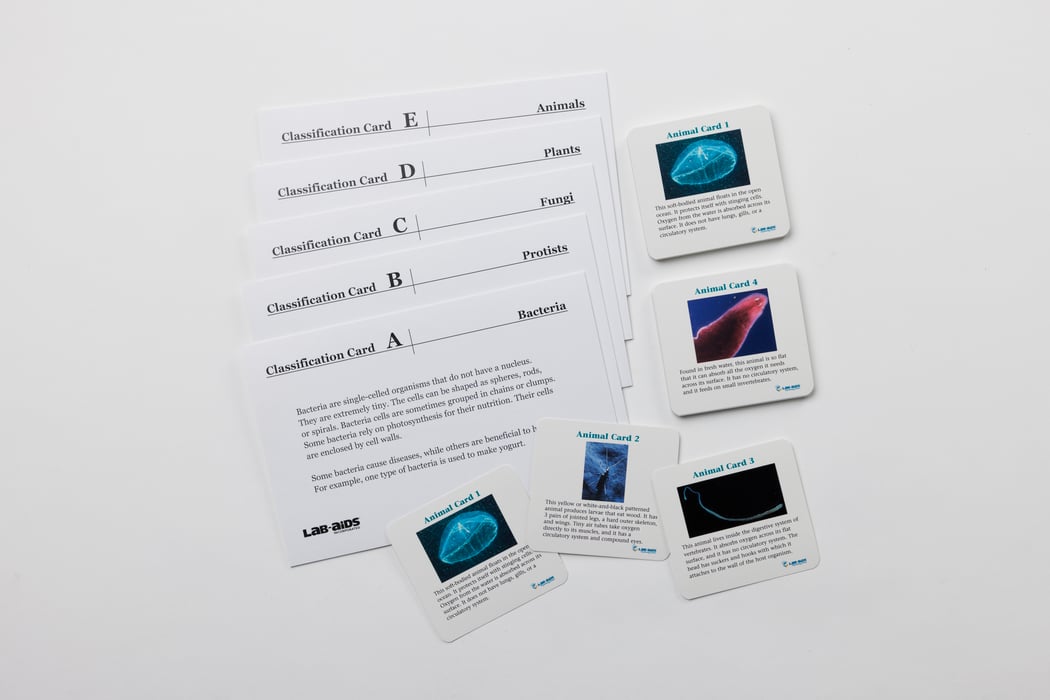 Lab-Aids: Classifying Animals Kit