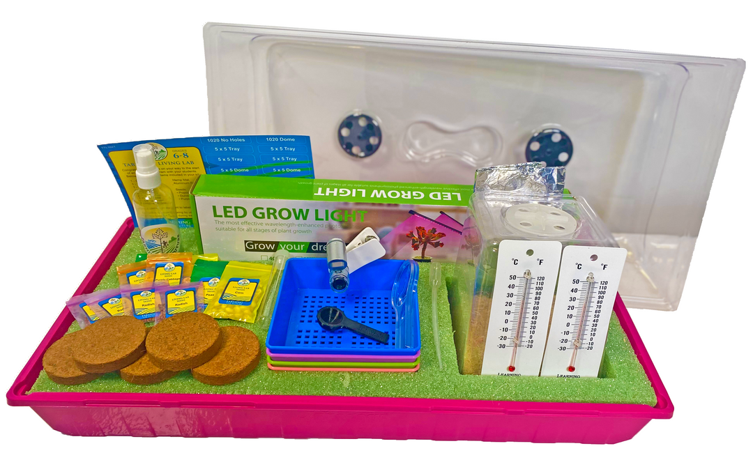 6-8 Table Top Living Lab w/ Curriculum Subscription.