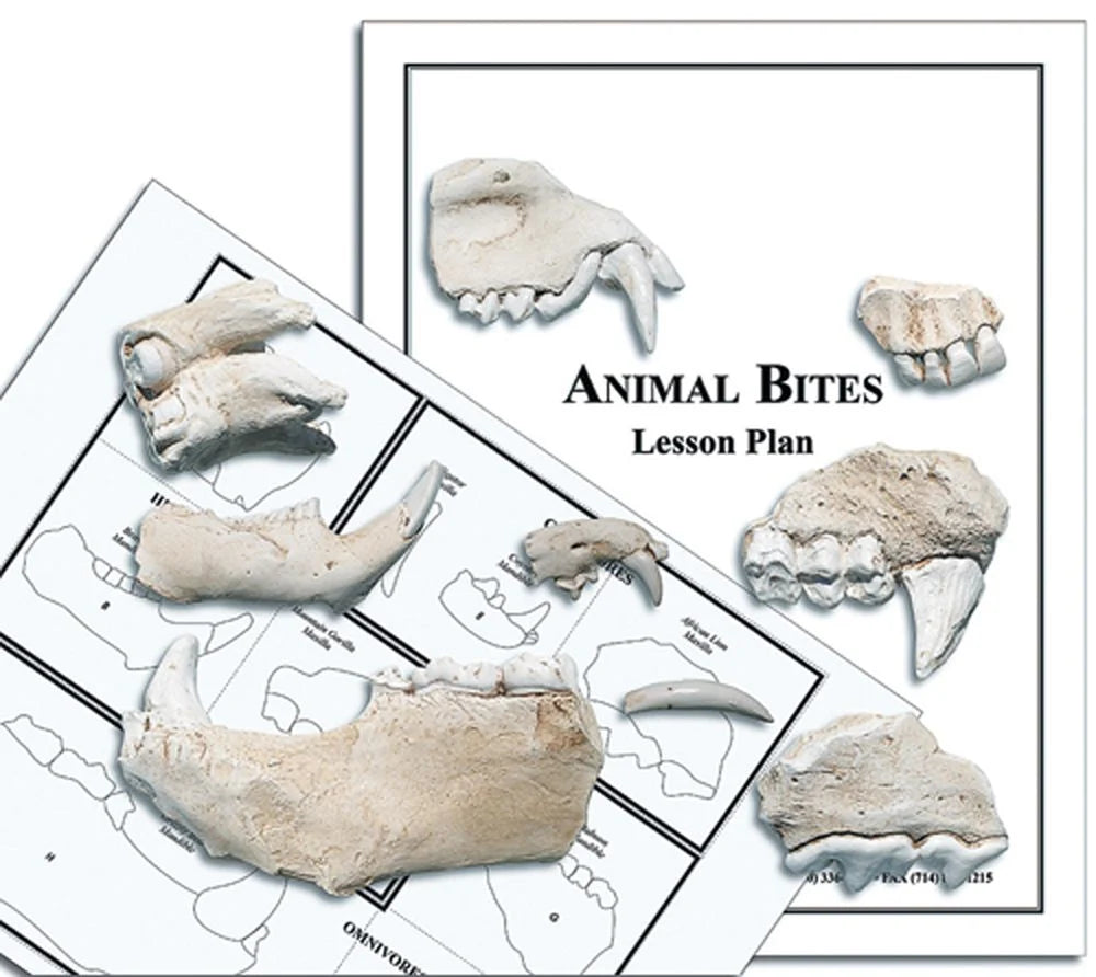 Science Pathways Elementary: Life Science - Animal Traits Kit