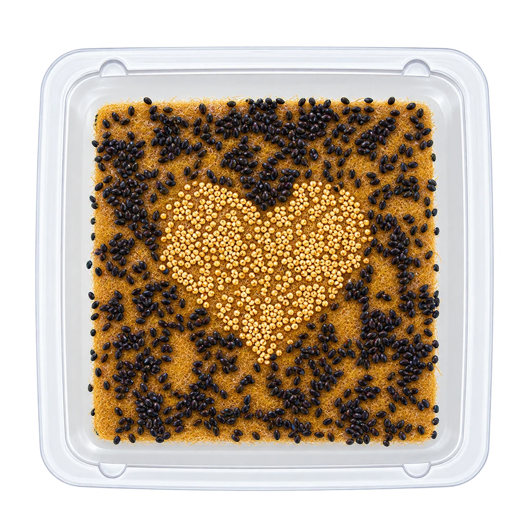 GrowArt™ Grow-Your-Own Art Kit: Edible Microgreens Kit DELUXE