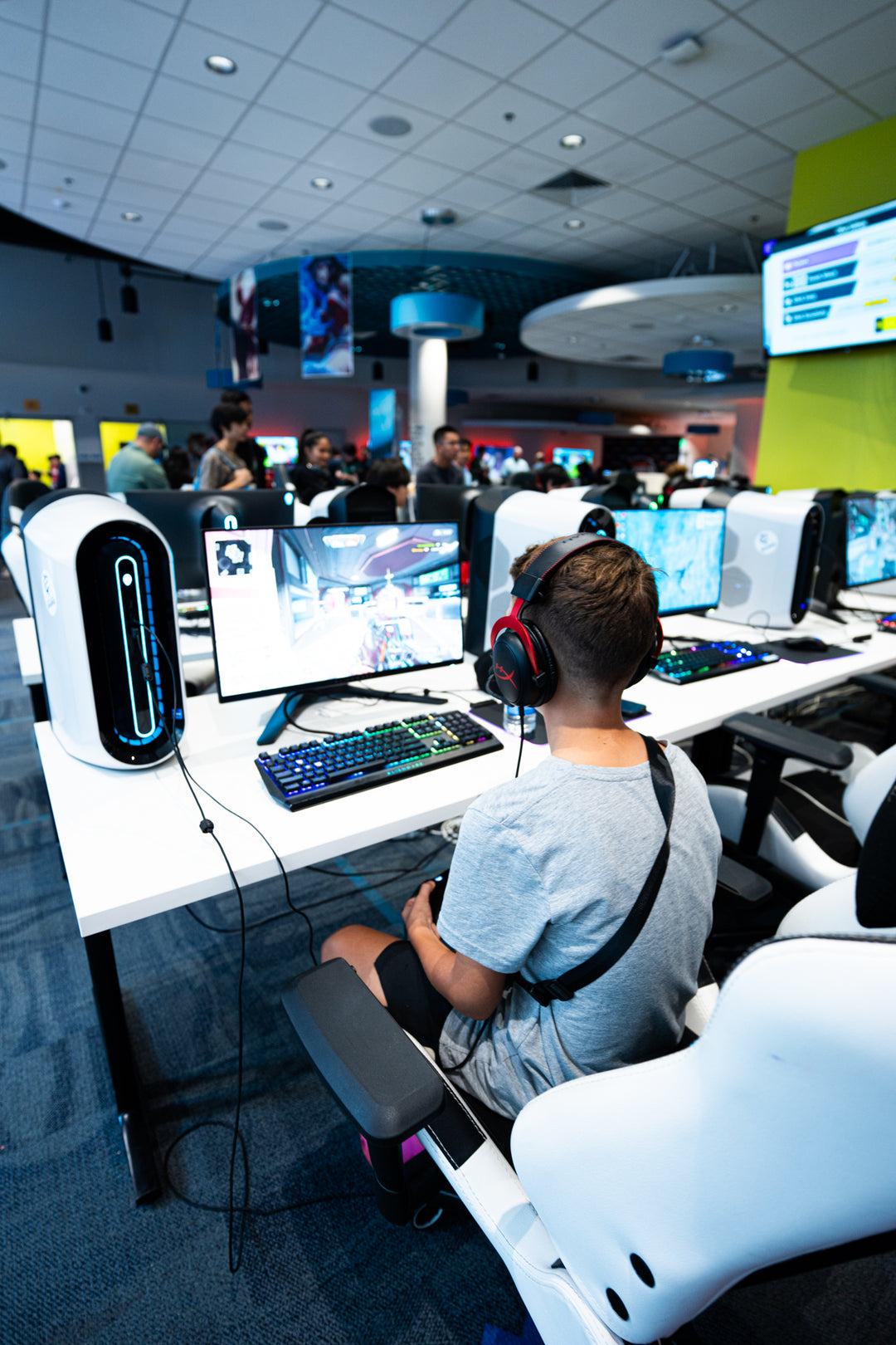 Vanta Esports Coaching Bundle