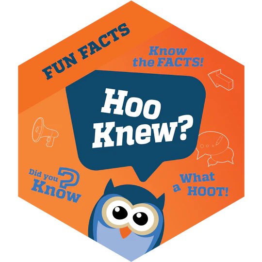 STEMfinity | CoderZ | Coding Robotics