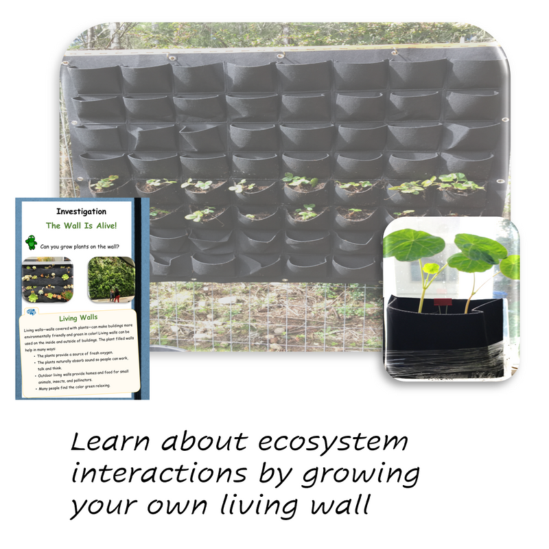 CreositySpace Green Architects Curriculum Unit Kit