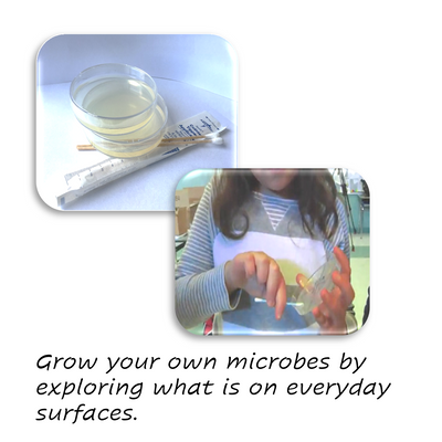 CreositySpace Adventures with Magnificent Microbes (Half Kit)