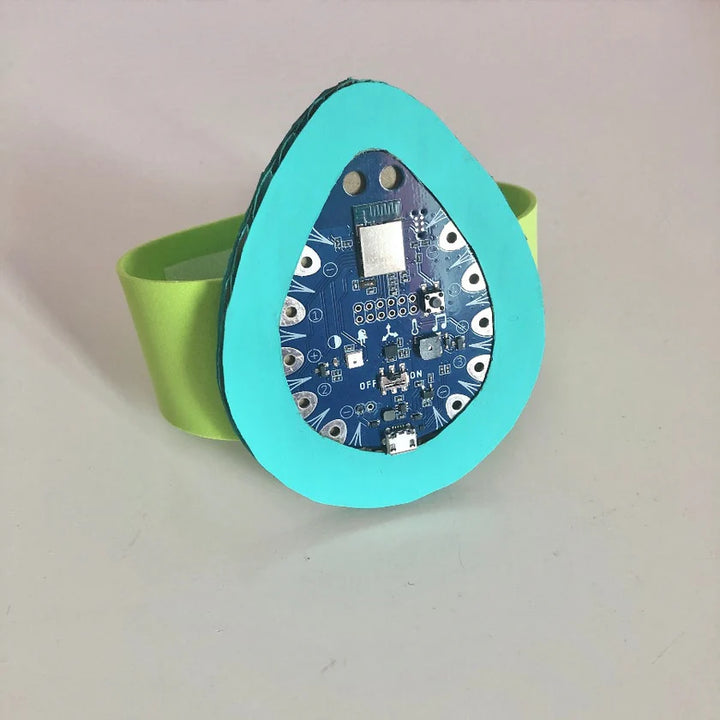 Bluebird V1.8 Wireless Microcontroller + AAA USB Battery