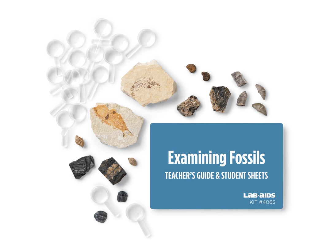 Lab-Aids: Examining Fossils Kit