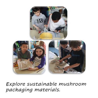CreositySpace Mushroom Maestros Curriculum Unit Kit