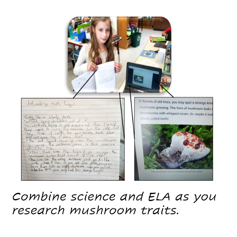 CreositySpace Mushroom Maestros Curriculum Unit Kit