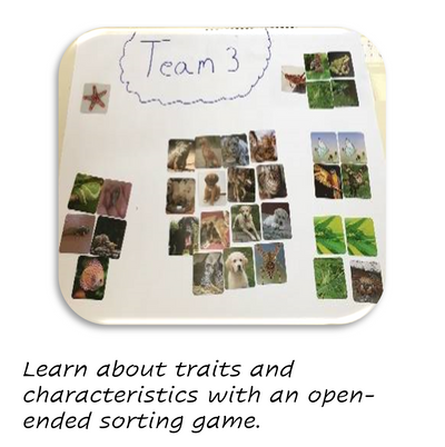 CreositySpace Mushroom Maestros Curriculum Unit Kit