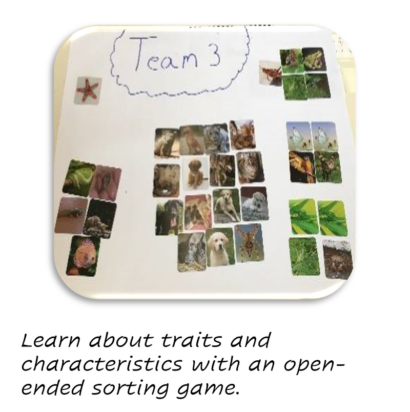CreositySpace My STEM Explorer Kit - Grades 1-2