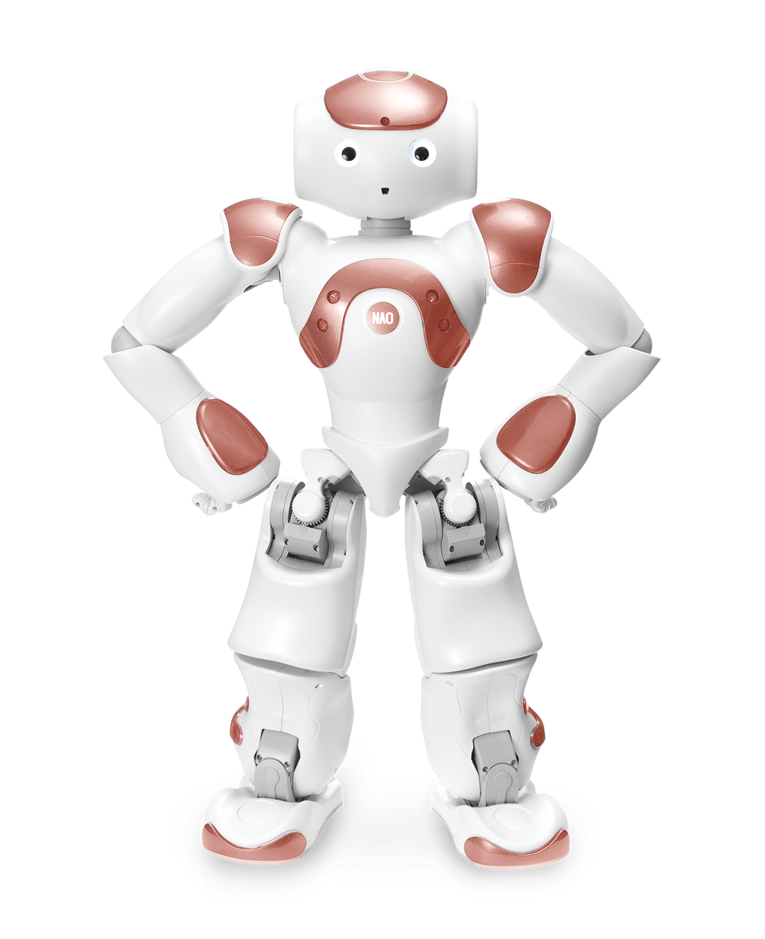 RobotLAB NAO V6 - AI Edition