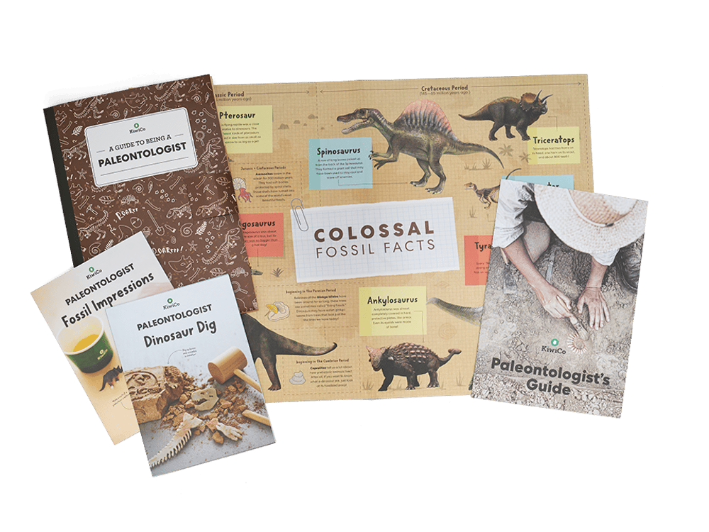 Paleontologist Starter Kit