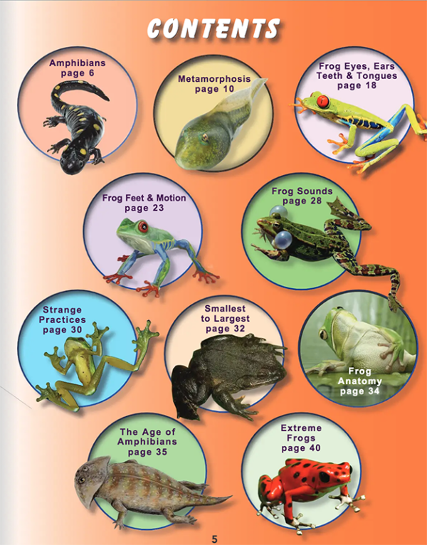 ScienceWiz Interactive Frogs Kit and Book